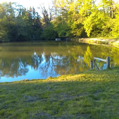 Apartman Srubik Cisovice Buitenkant foto